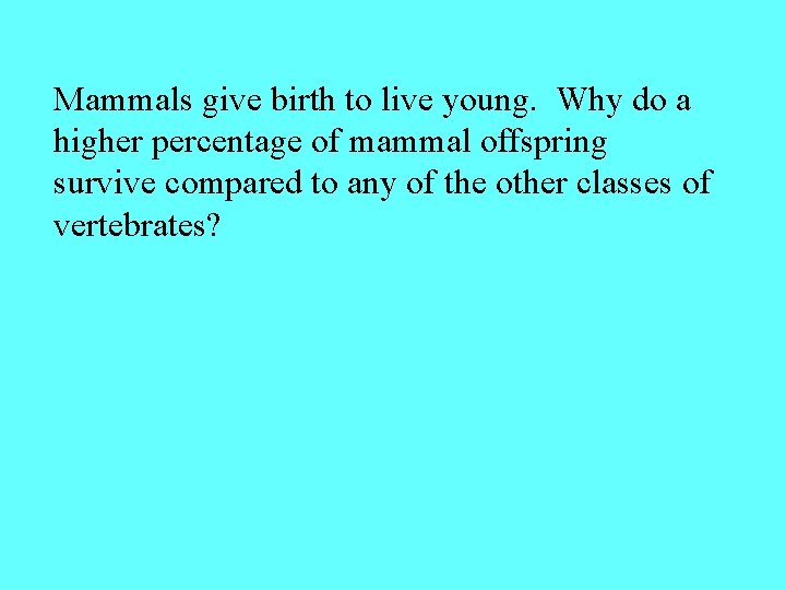 Mammals give birth to live young. Why do a higher percentage of mammal offspring