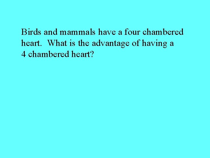 Birds and mammals have a four chambered heart. What is the advantage of having