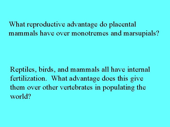 What reproductive advantage do placental mammals have over monotremes and marsupials? Reptiles, birds, and