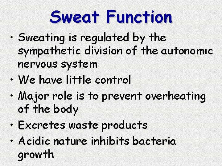 Sweat Function • Sweating is regulated by the sympathetic division of the autonomic nervous