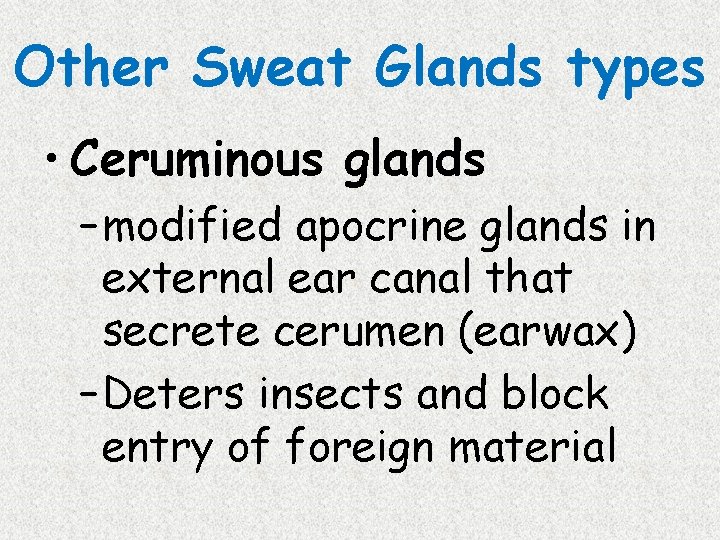 Other Sweat Glands types • Ceruminous glands – modified apocrine glands in external ear