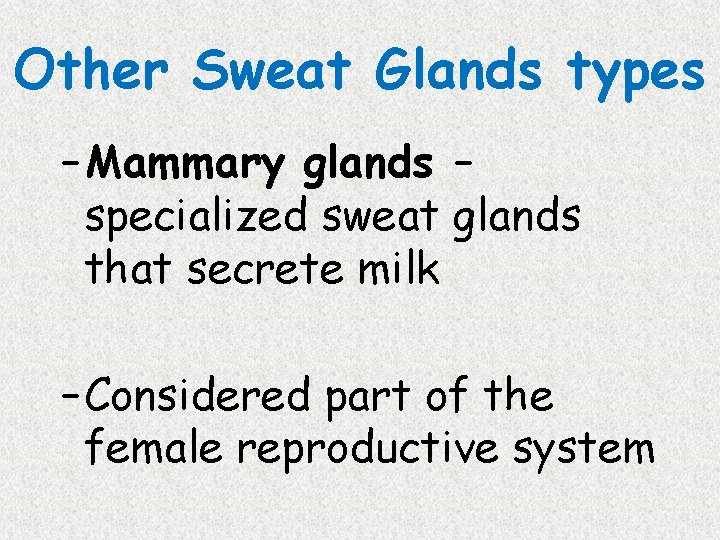 Other Sweat Glands types – Mammary glands – specialized sweat glands that secrete milk