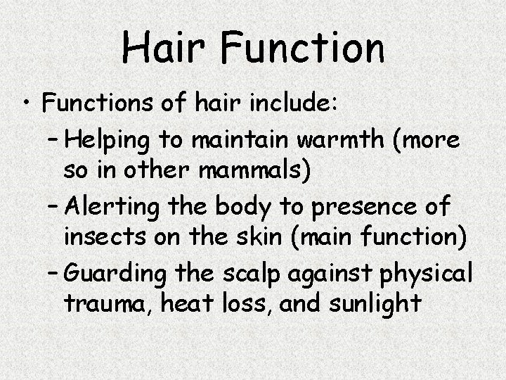 Hair Function • Functions of hair include: – Helping to maintain warmth (more so