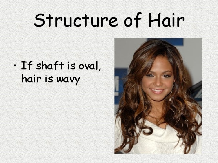 Structure of Hair • If shaft is oval, hair is wavy 
