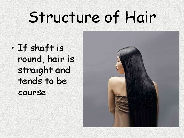 Structure of Hair • If shaft is round, hair is straight and tends to