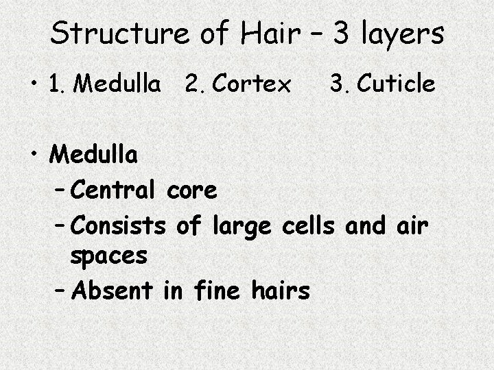 Structure of Hair – 3 layers • 1. Medulla 2. Cortex 3. Cuticle •