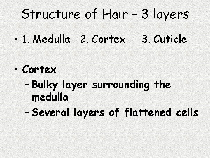 Structure of Hair – 3 layers • 1. Medulla 2. Cortex 3. Cuticle •