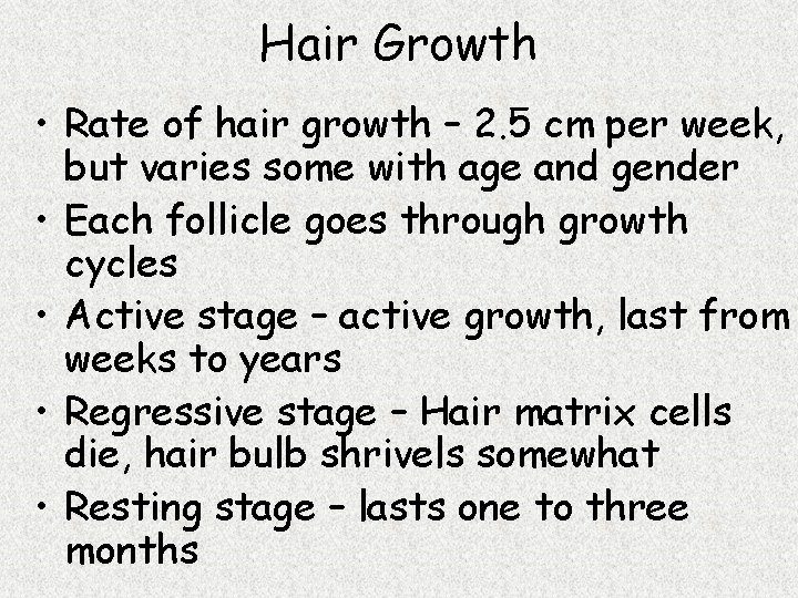 Hair Growth • Rate of hair growth – 2. 5 cm per week, but