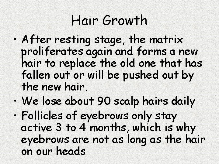 Hair Growth • After resting stage, the matrix proliferates again and forms a new