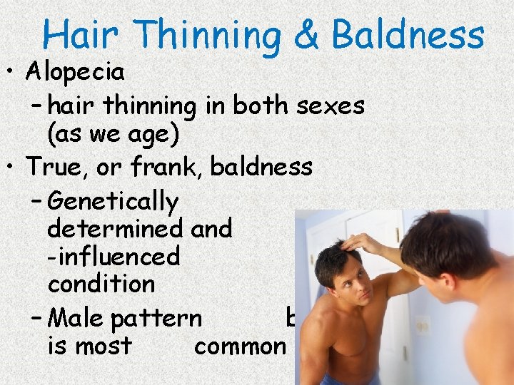 Hair Thinning & Baldness • Alopecia – hair thinning in both sexes (as we