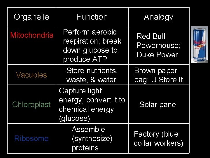 Organelle Function Mitochondria Perform aerobic respiration; break down glucose to produce ATP Store nutrients,