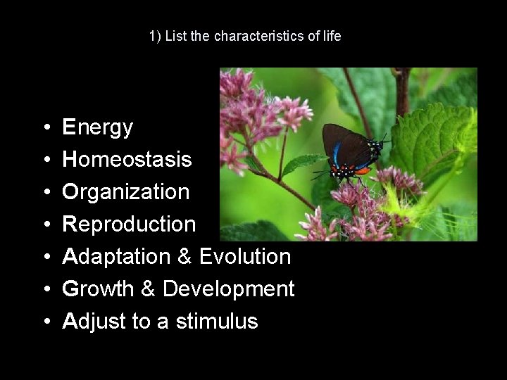 1) List the characteristics of life • • Energy Homeostasis Organization Reproduction Adaptation &