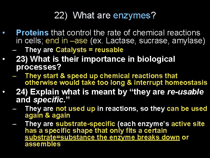 22) What are enzymes? • Proteins that control the rate of chemical reactions in