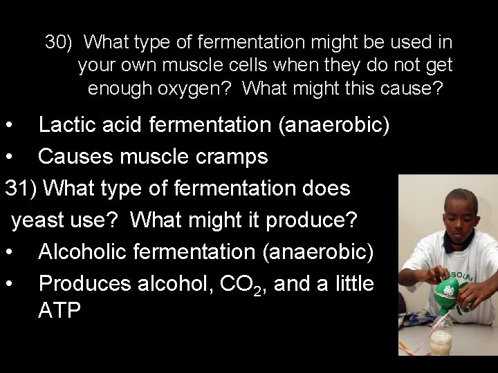 30) What type of fermentation might be used in your own muscle cells when