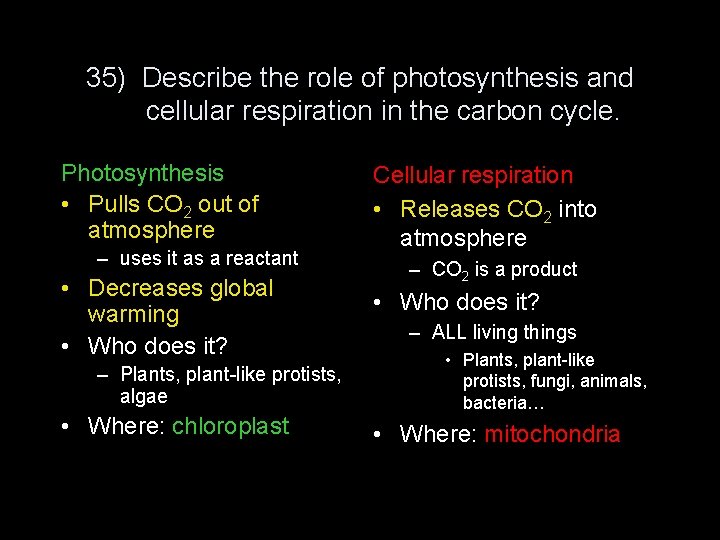 35) Describe the role of photosynthesis and cellular respiration in the carbon cycle. Photosynthesis