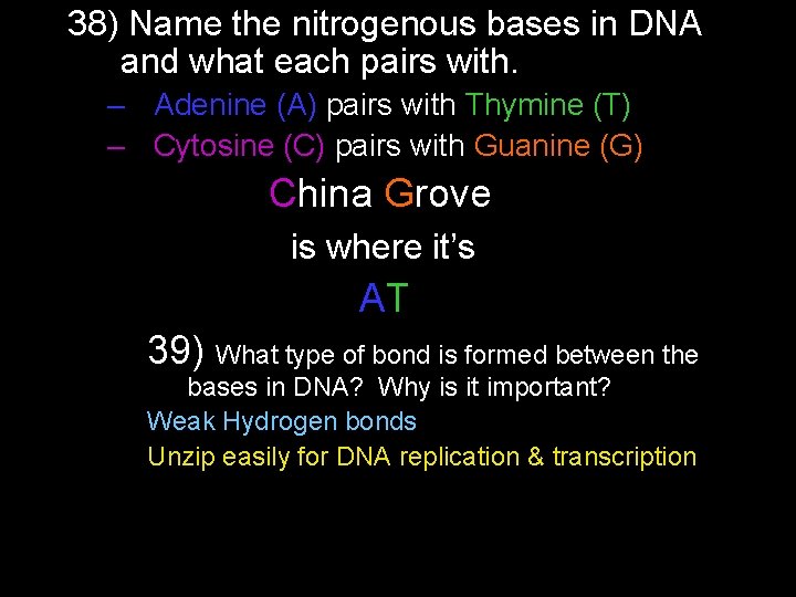 38) Name the nitrogenous bases in DNA and what each pairs with. – Adenine