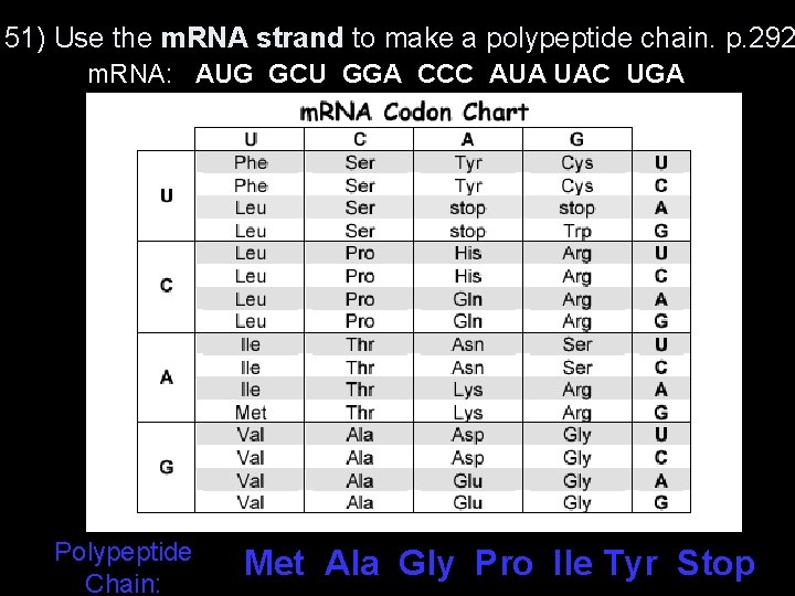 51) Use the m. RNA strand to make a polypeptide chain. p. 292 m.