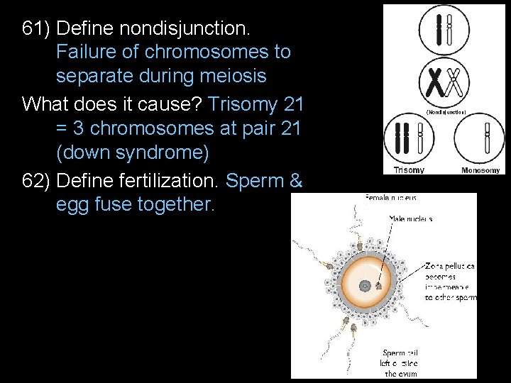 61) Define nondisjunction. Failure of chromosomes to separate during meiosis What does it cause?