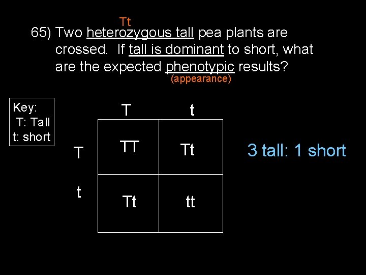 Tt 65) Two heterozygous tall pea plants are crossed. If tall is dominant to