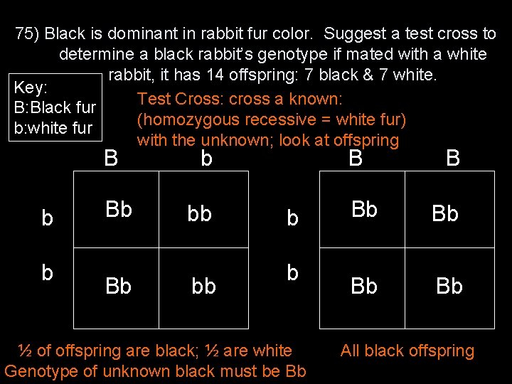 75) Black is dominant in rabbit fur color. Suggest a test cross to determine