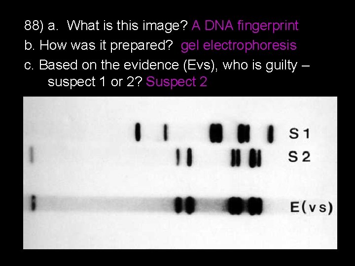 88) a. What is this image? A DNA fingerprint b. How was it prepared?