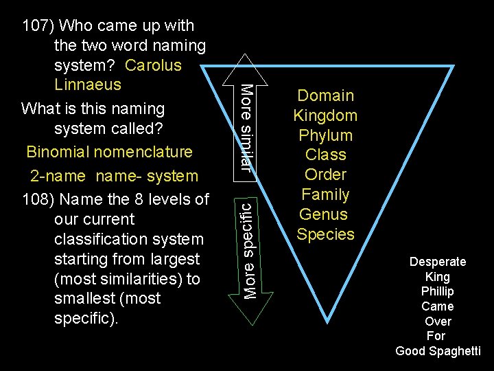 More specific More similar 107) Who came up with the two word naming system?