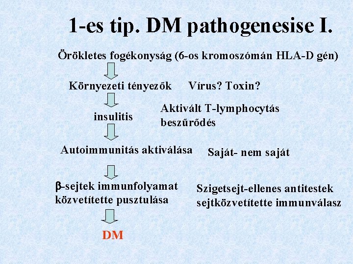 1 -es tip. DM pathogenesise I. Örökletes fogékonyság (6 -os kromoszómán HLA-D gén) Környezeti