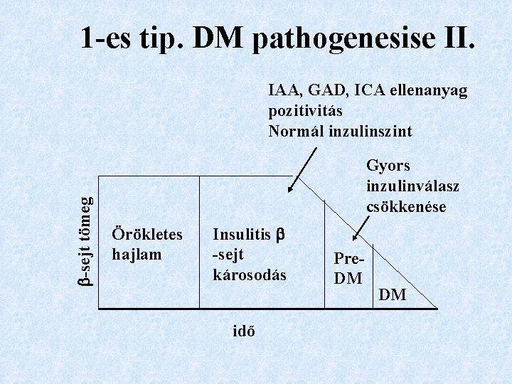 1 -es tip. DM pathogenesise II. -sejt tömeg IAA, GAD, ICA ellenanyag pozitivitás Normál