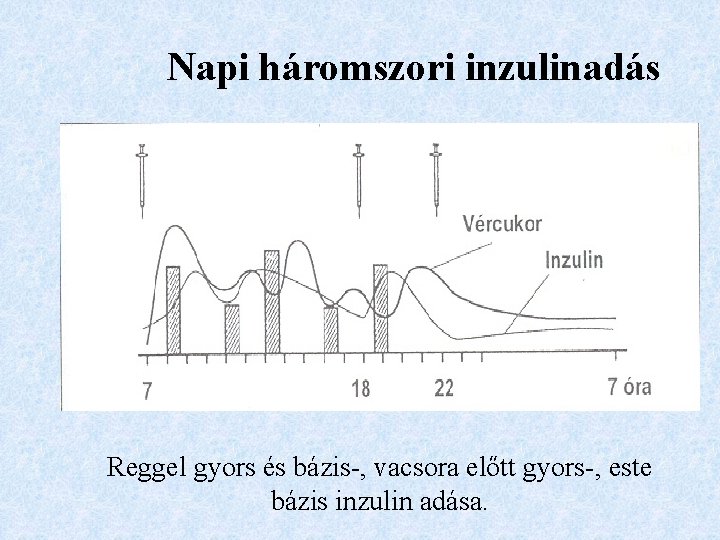 Napi háromszori inzulinadás Reggel gyors és bázis-, vacsora előtt gyors-, este bázis inzulin adása.