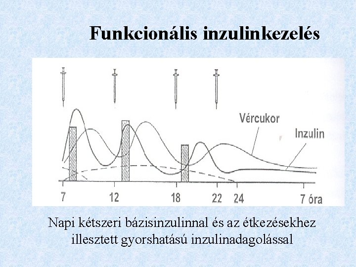 Funkcionális inzulinkezelés Napi kétszeri bázisinzulinnal és az étkezésekhez illesztett gyorshatású inzulinadagolással 