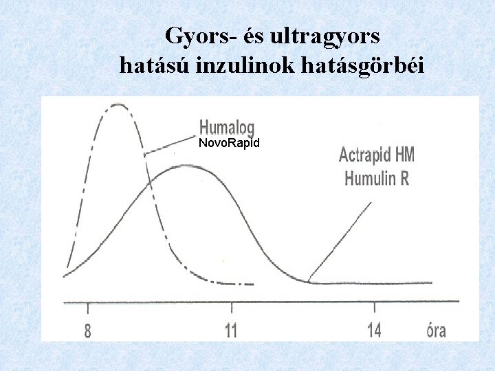 Gyors- és ultragyors hatású inzulinok hatásgörbéi Novo. Rapid 