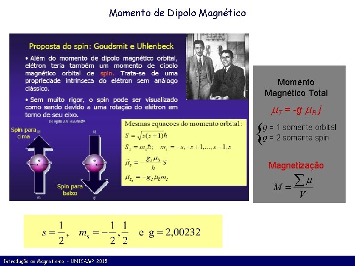 Momento de Dipolo Magnético Momento Magnético Total T = -g B j { g