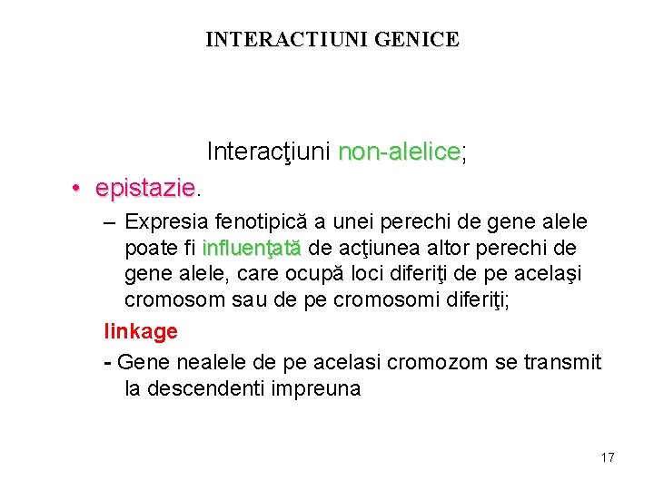 INTERACTIUNI GENICE Interacţiuni non-alelice; non-alelice • epistazie – Expresia fenotipică a unei perechi de