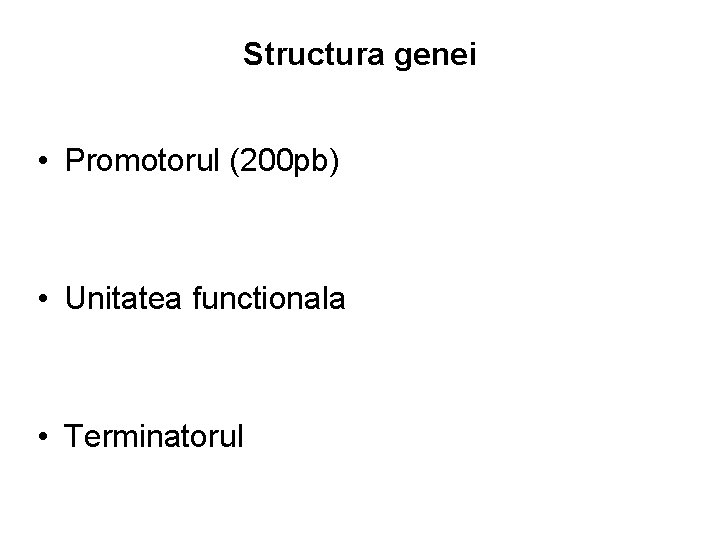 Structura genei • Promotorul (200 pb) • Unitatea functionala • Terminatorul 