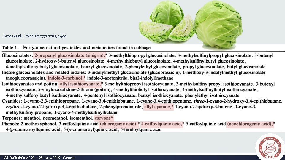 Ames et al. , PNAS 87: 7777 -7781, 1990 XVI. Ružičkini dani. 21. –