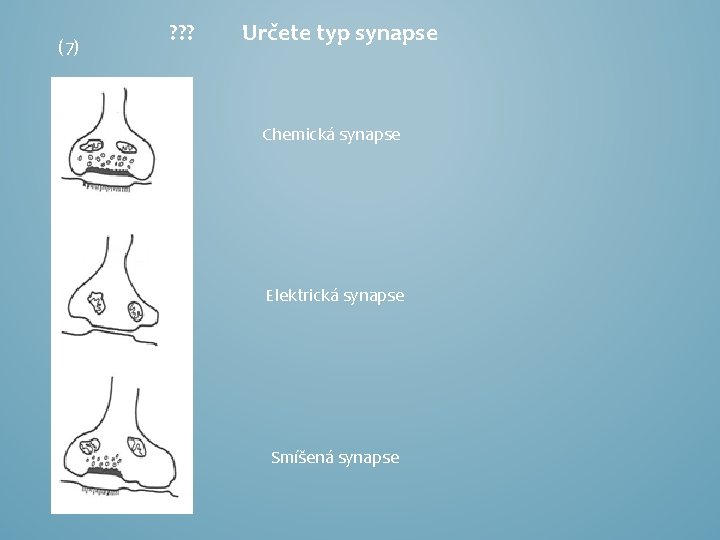 (7) ? ? ? Určete typ synapse Chemická synapse Elektrická synapse Smíšená synapse 