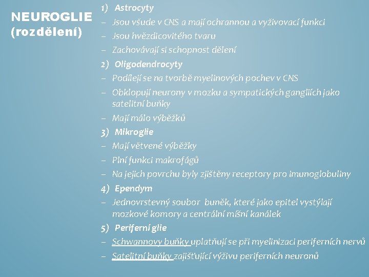 NEUROGLIE (rozdělení) 1) − − − 2) − − Astrocyty Jsou všude v CNS