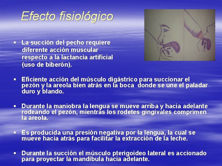 Efecto fisiológico § La succión del pecho requiere diferente acción muscular respecto a la