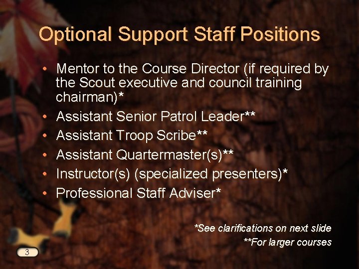 Optional Support Staff Positions • Mentor to the Course Director (if required by the