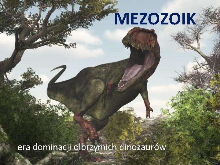 MEZOZOIK era dominacji olbrzymich dinozaurów 
