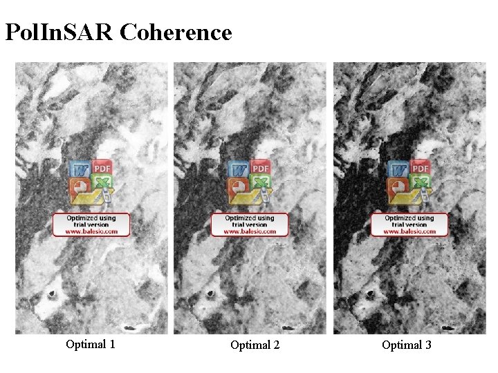 Pol. In. SAR Coherence Optimal 1 Optimal 2 Optimal 3 