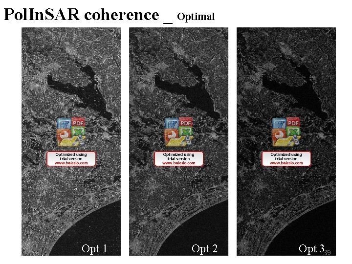 Pol. In. SAR coherence _ Optimal Opt 1 Opt 2 Opt 339 