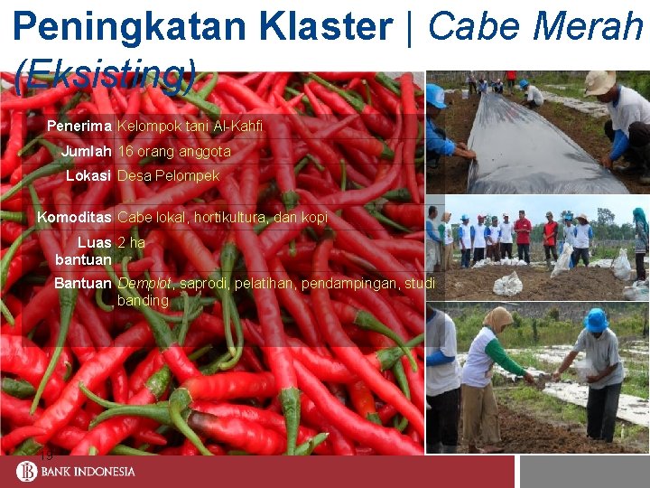 Peningkatan Klaster | Cabe Merah (Eksisting) Penerima Kelompok tani Al-Kahfi Jumlah 16 orang anggota