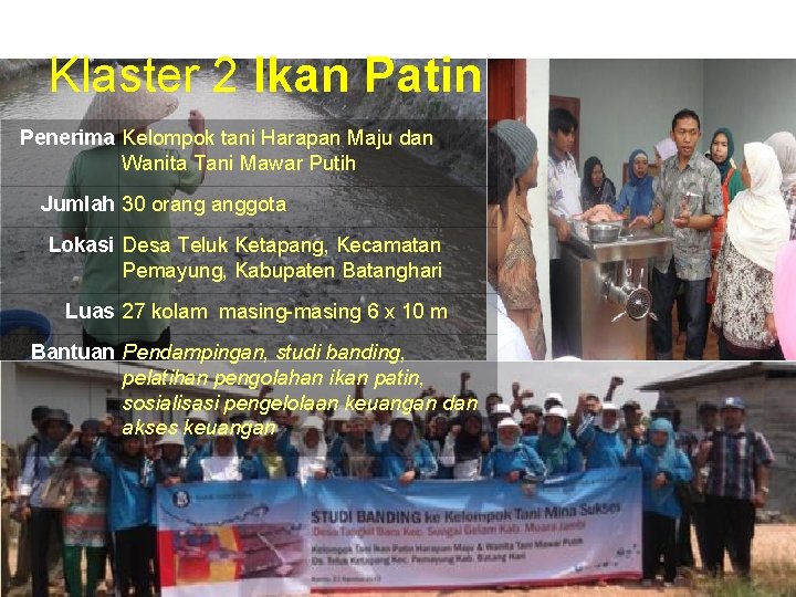 Klaster 2 Ikan Patin Penerima Kelompok tani Harapan Maju dan Wanita Tani Mawar Putih