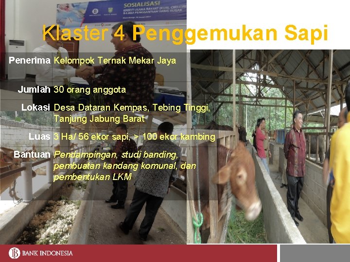 Klaster 4 Penggemukan Sapi Penerima Kelompok Ternak Mekar Jaya Jumlah 30 orang anggota Lokasi