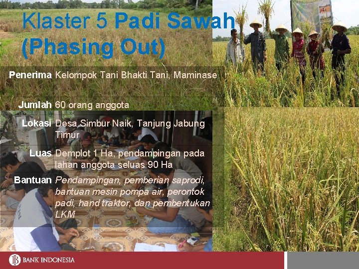 Klaster 5 Padi Sawah (Phasing Out) Penerima Kelompok Tani Bhakti Tani, Maminase Jumlah 60