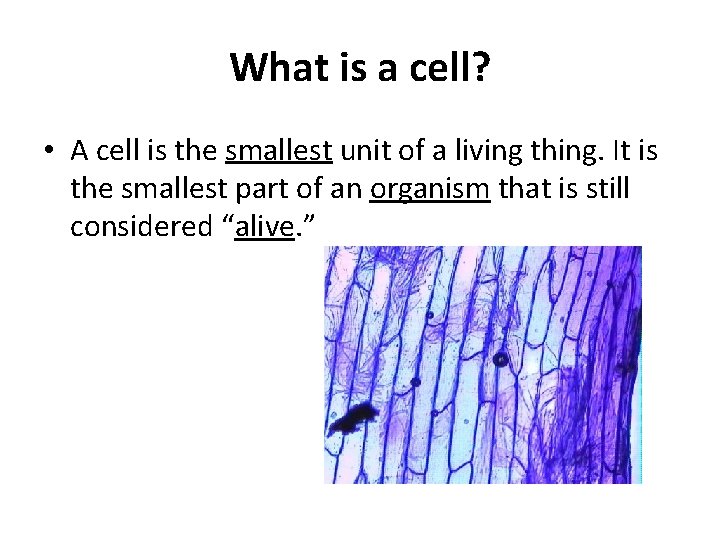 What is a cell? • A cell is the smallest unit of a living