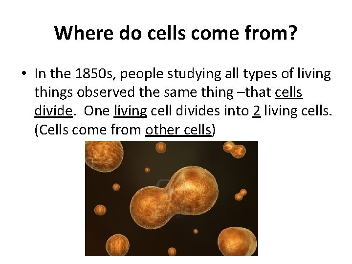 Where do cells come from? • In the 1850 s, people studying all types