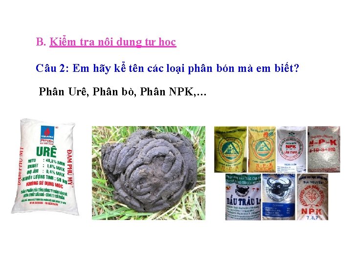 B. Kiểm tra nội dung tự học Câu 2: Em hãy kể tên các