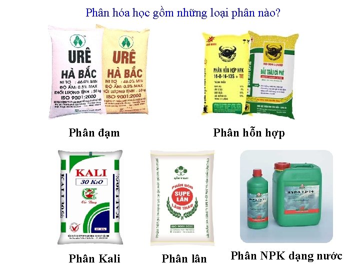 Phân hóa học gồm những loại phân nào? Phân đạm Phân Kali Phân hỗn